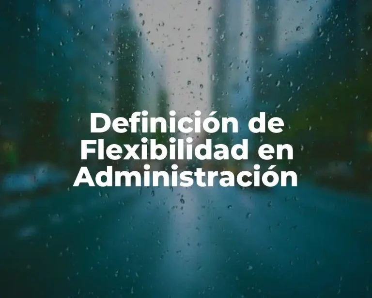 Definición de Flexibilidad en Administración
