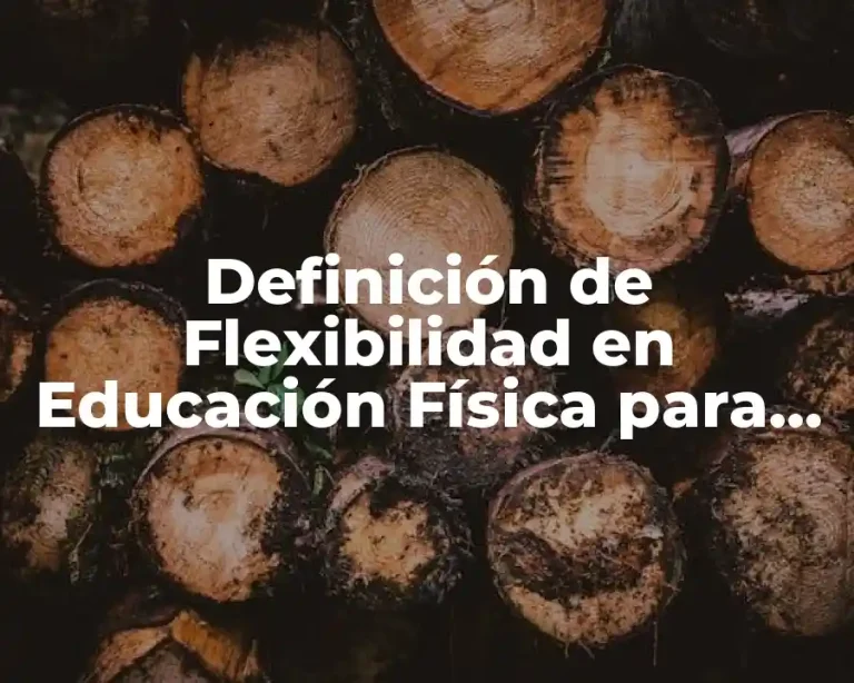 Definición de Flexibilidad en Educación Física para Niños