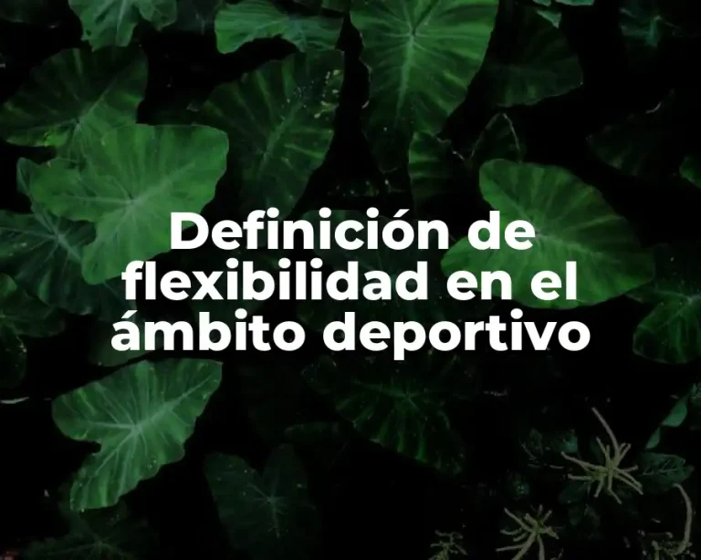 Definición de flexibilidad en el ámbito deportivo