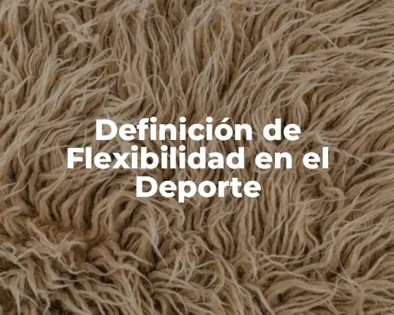 Definición de Flexibilidad en el Deporte
