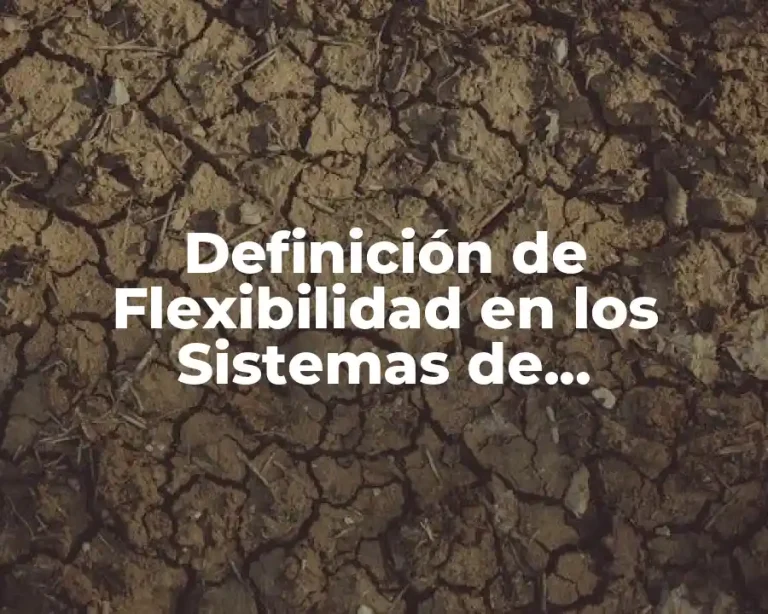 Definición de Flexibilidad en los Sistemas de Distribución