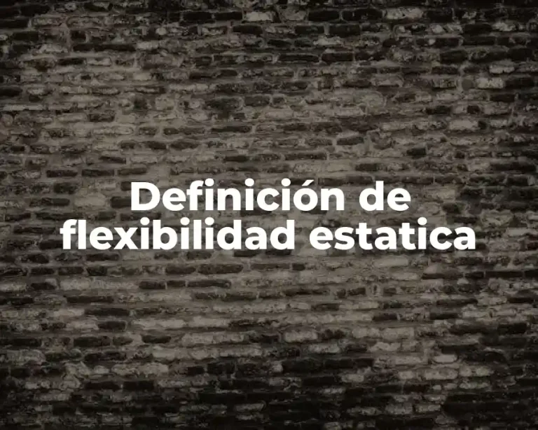 Definición de flexibilidad estatica