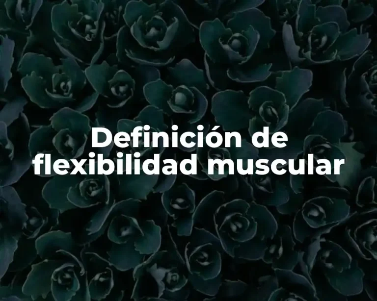 Definición de flexibilidad muscular