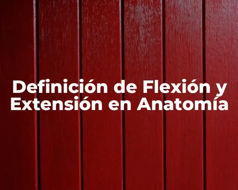 Definición de Flexión y Extensión en Anatomía