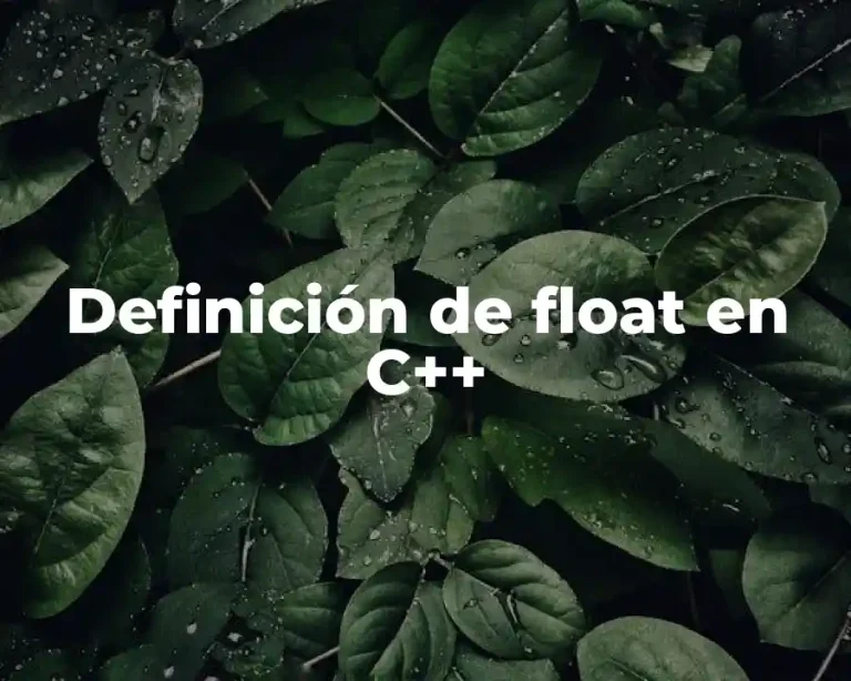 Definición de float en C++