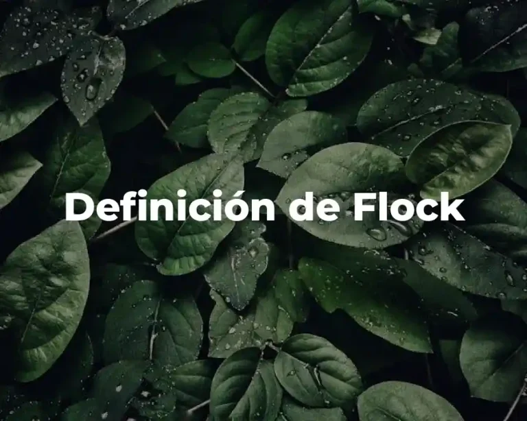 Definición de Flock
