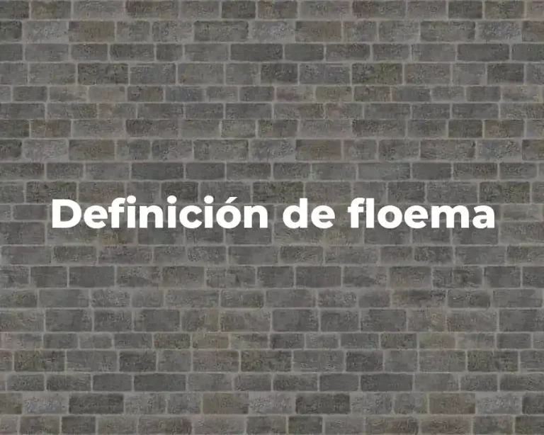 Definición de floema