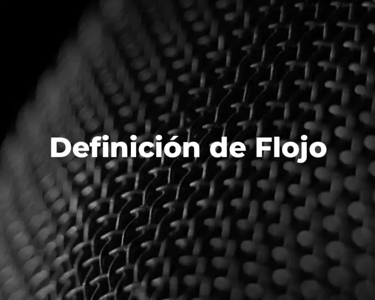 Definición de Flojo