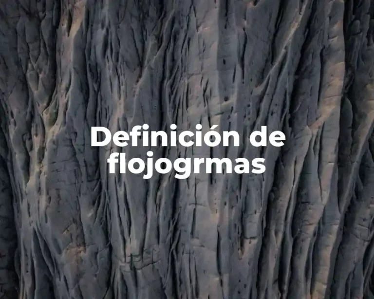 Definición de flojogrmas