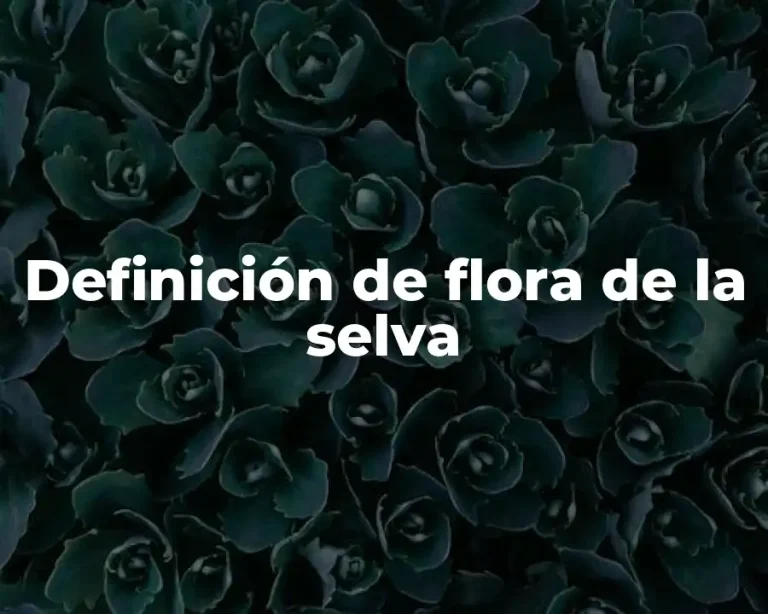 Definición de flora de la selva