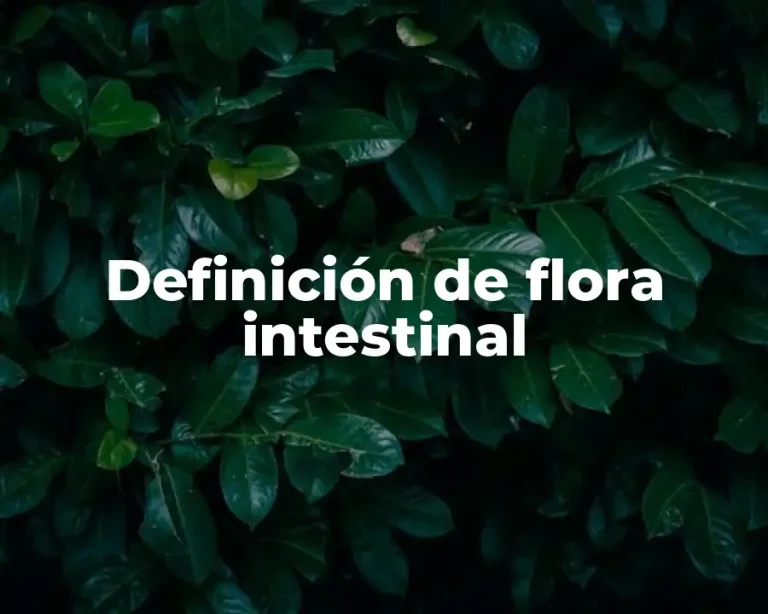 Definición de flora intestinal