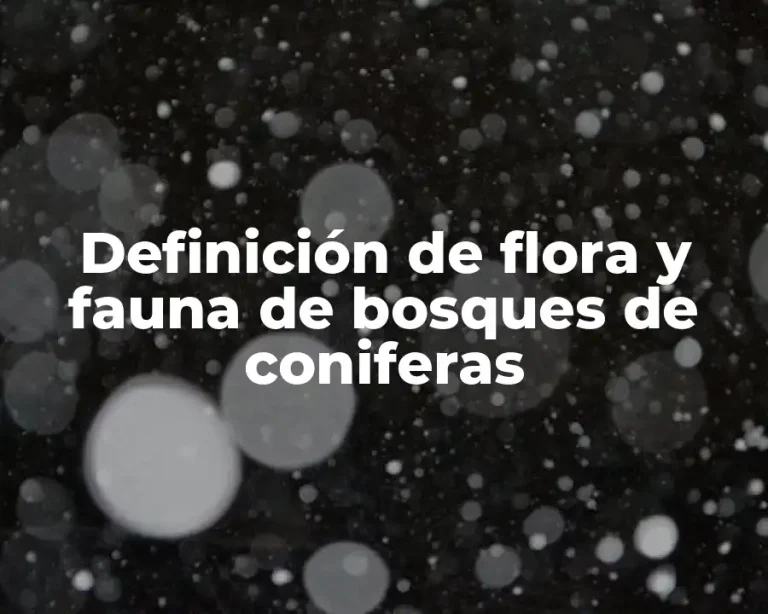 Definición de flora y fauna de bosques de coniferas