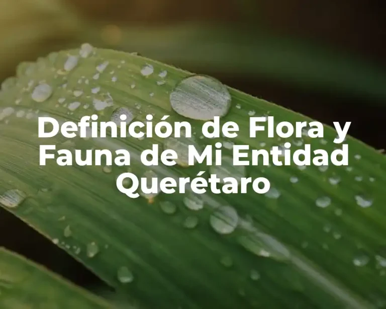 Definición de Flora y Fauna de Mi Entidad Querétaro
