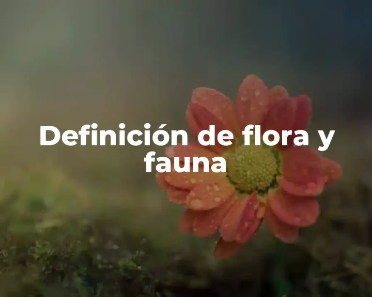 Definición de flora y fauna