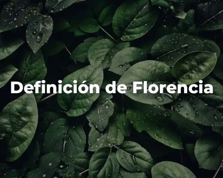 Definición de Florencia