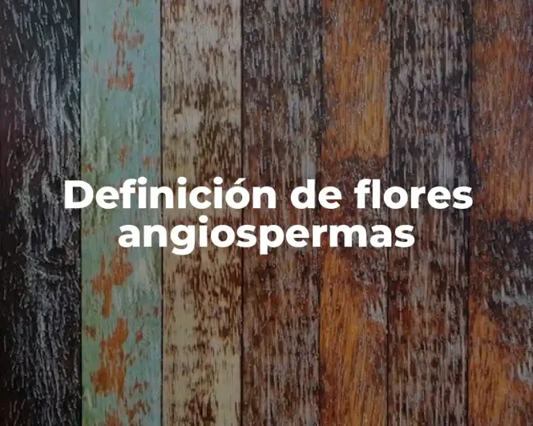 Definición de flores angiospermas