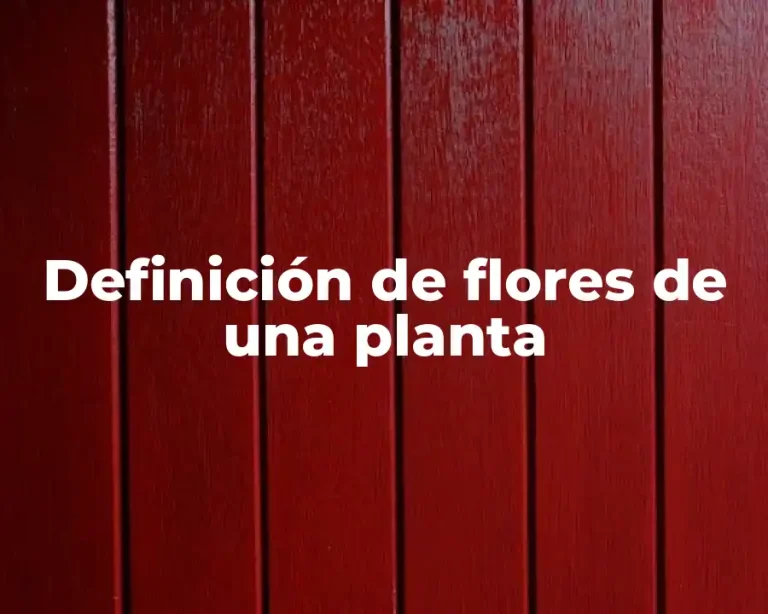 Definición de flores de una planta
