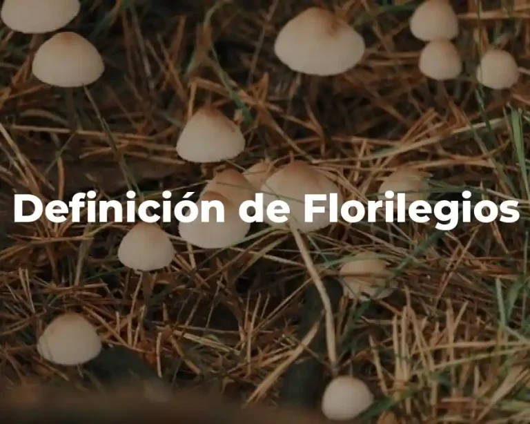 Definición de Florilegios