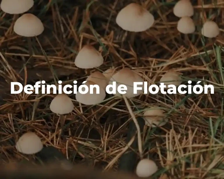Definición de Flotación