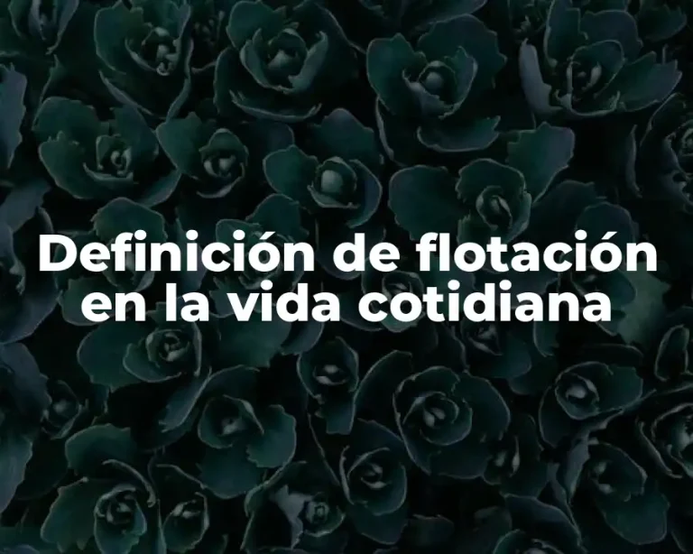 Definición de flotación en la vida cotidiana