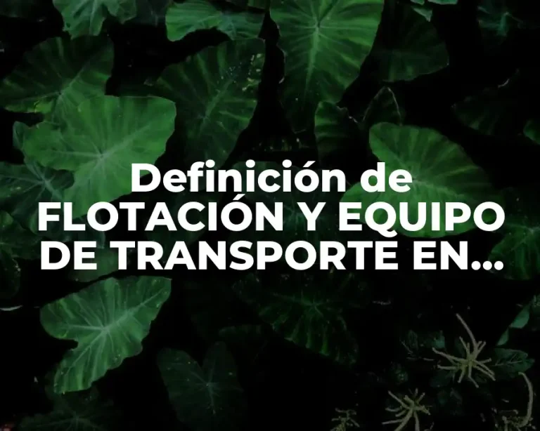 Definición de FLOTACIÓN Y EQUIPO DE TRANSPORTE EN CONTABILIDAD