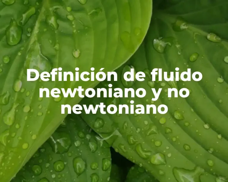 Definición de fluido newtoniano y no newtoniano