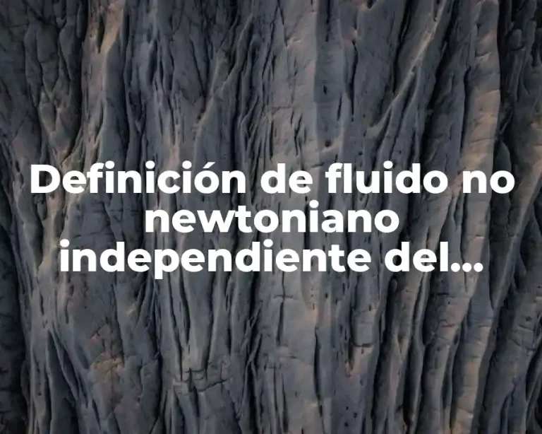 Definición de fluido no newtoniano independiente del tiempo