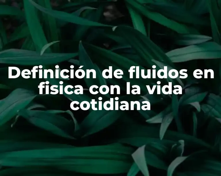 Definición de fluidos en fisica con la vida cotidiana