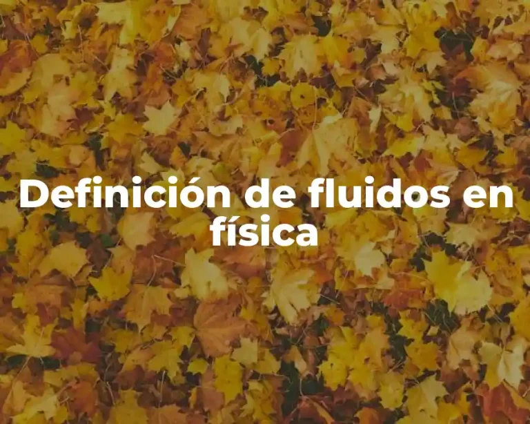 Definición de fluidos en física
