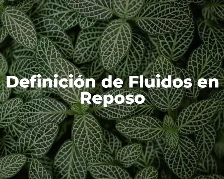 Definición de Fluidos en Reposo