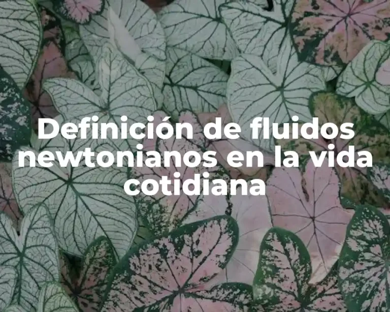 Definición de fluidos newtonianos en la vida cotidiana