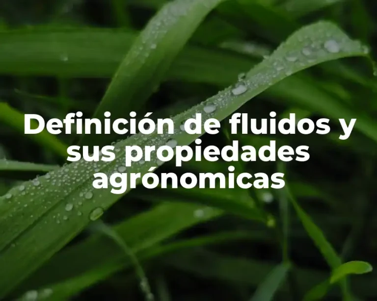 Definición de fluidos y sus propiedades agrónomicas