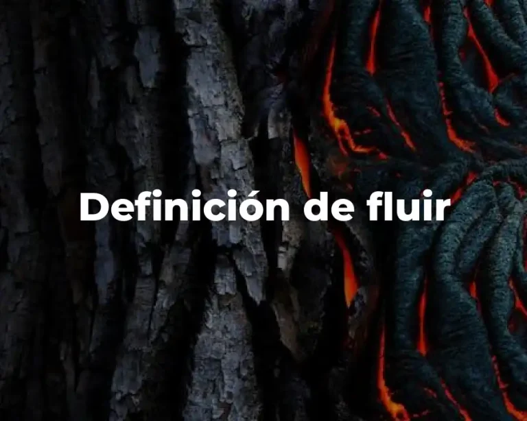 Definición de fluir