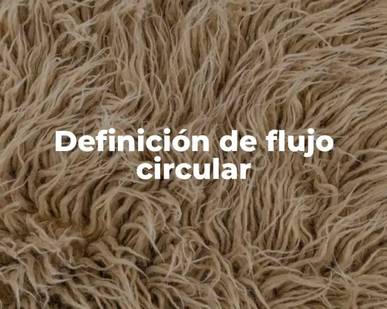 Definición de flujo circular