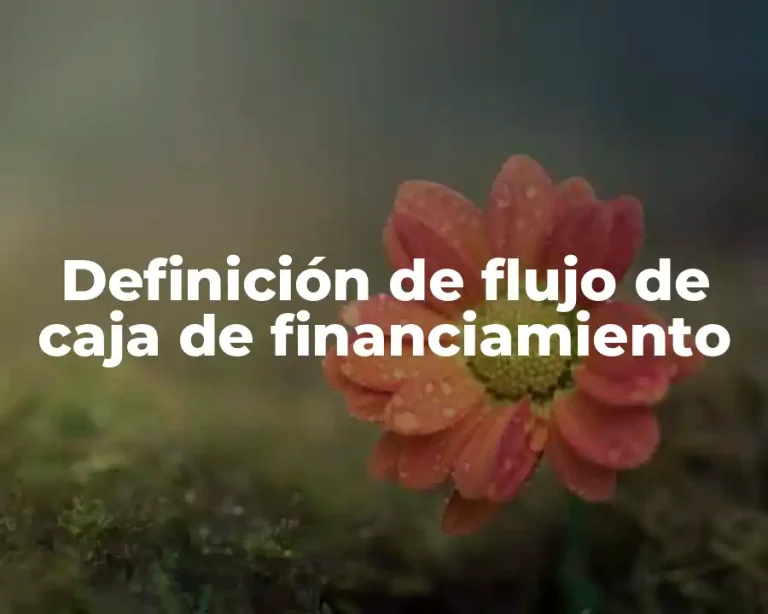 Definición de flujo de caja de financiamiento