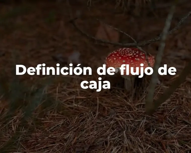 Definición de flujo de caja