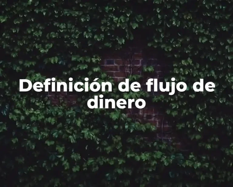 Definición de flujo de dinero