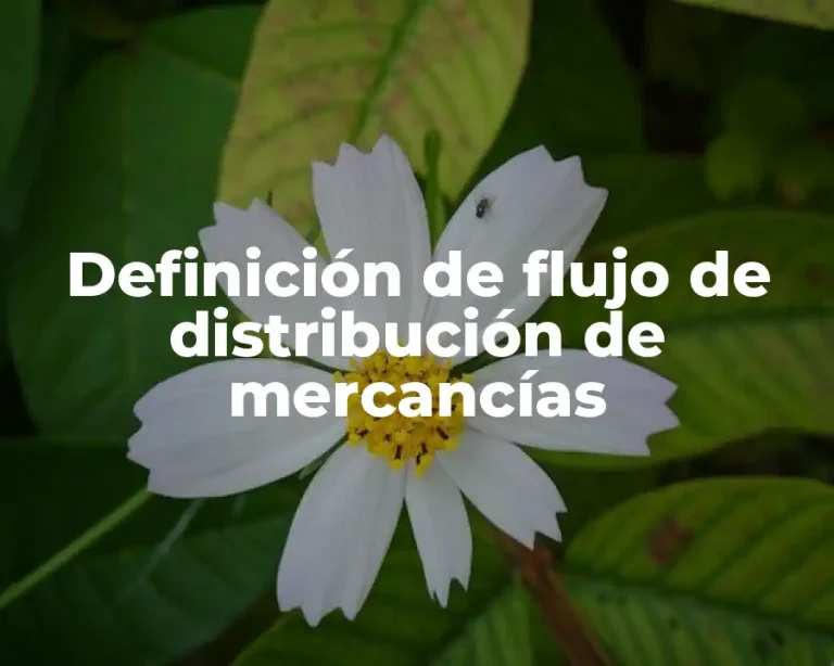 Definición de flujo de distribución de mercancías