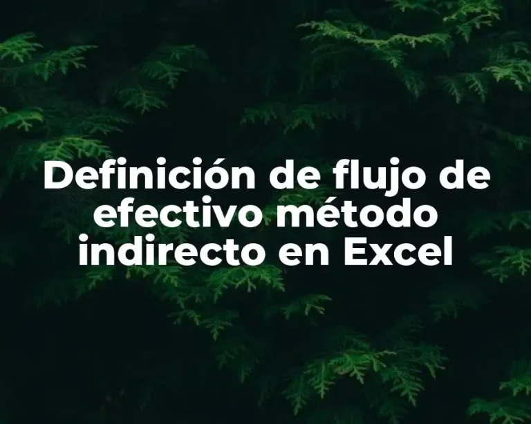 Definición de flujo de efectivo método indirecto en Excel