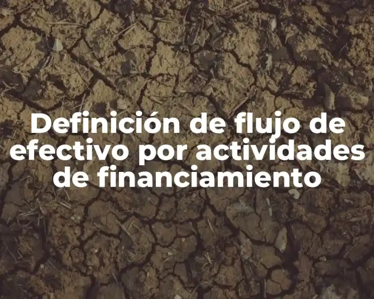 Definición de flujo de efectivo por actividades de financiamiento