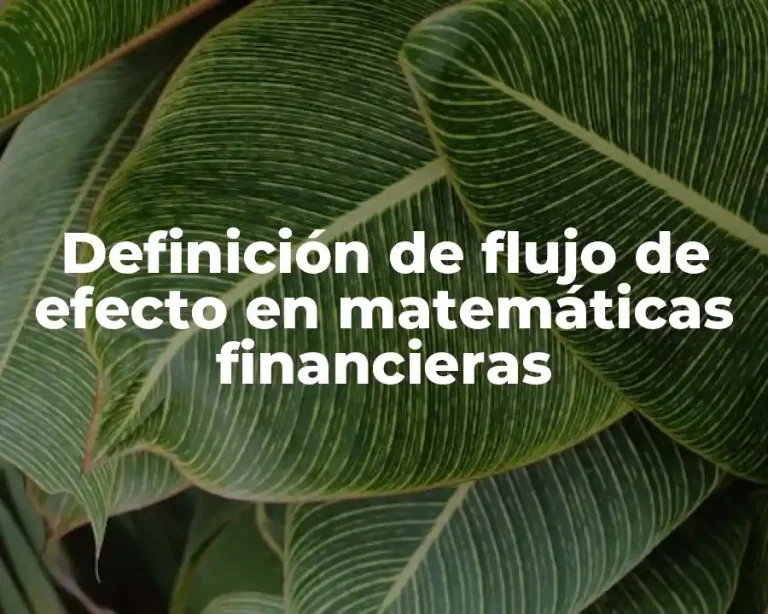 Definición de flujo de efecto en matemáticas financieras