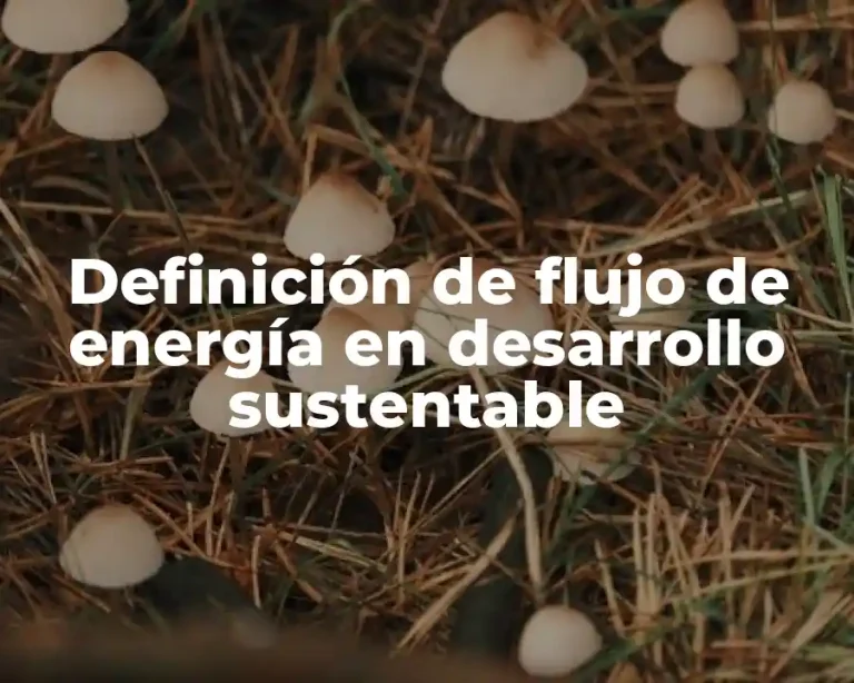 Definición de flujo de energía en desarrollo sustentable