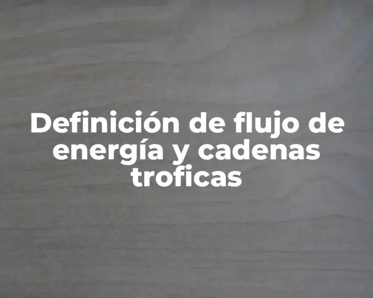 Definición de flujo de energía y cadenas troficas