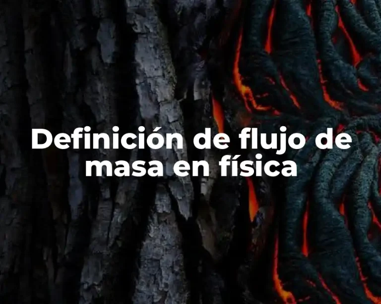 Definición de flujo de masa en física