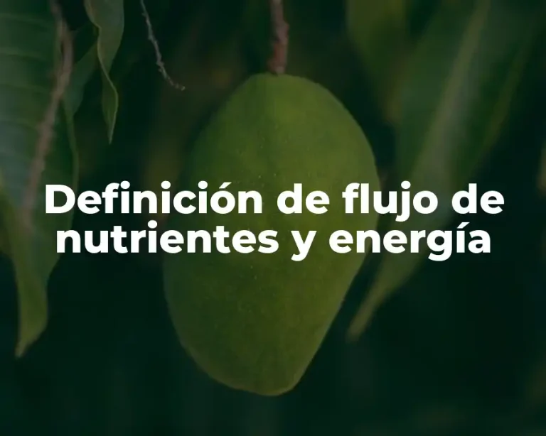 Definición de flujo de nutrientes y energía