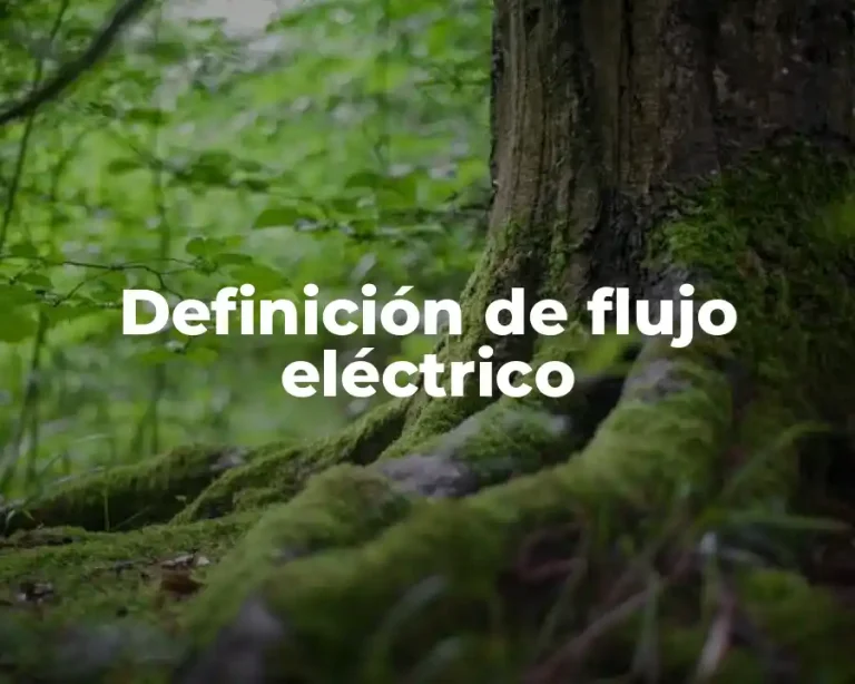 Definición de flujo eléctrico