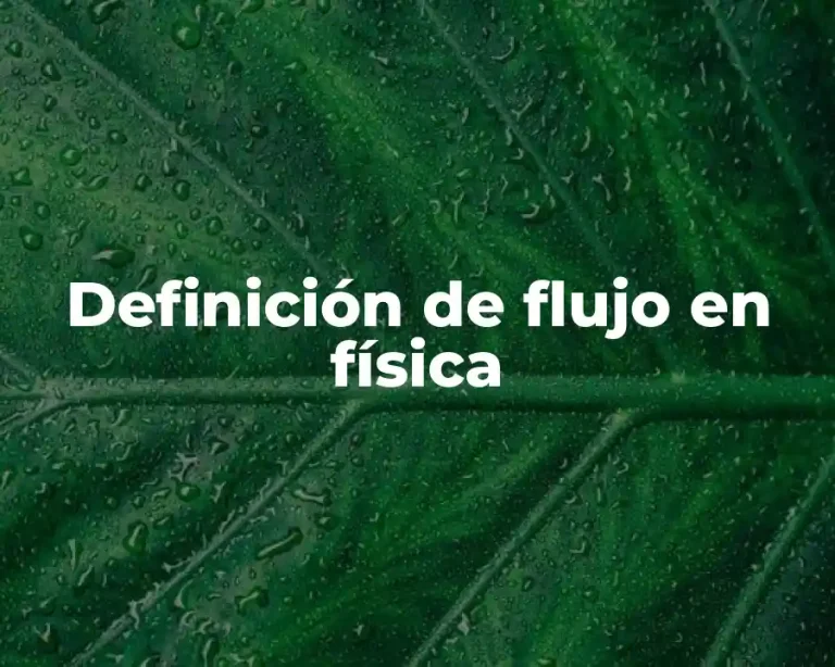 Definición de flujo en física