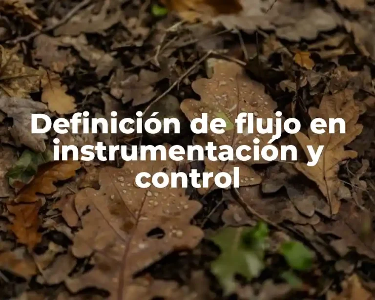 Definición de flujo en instrumentación y control