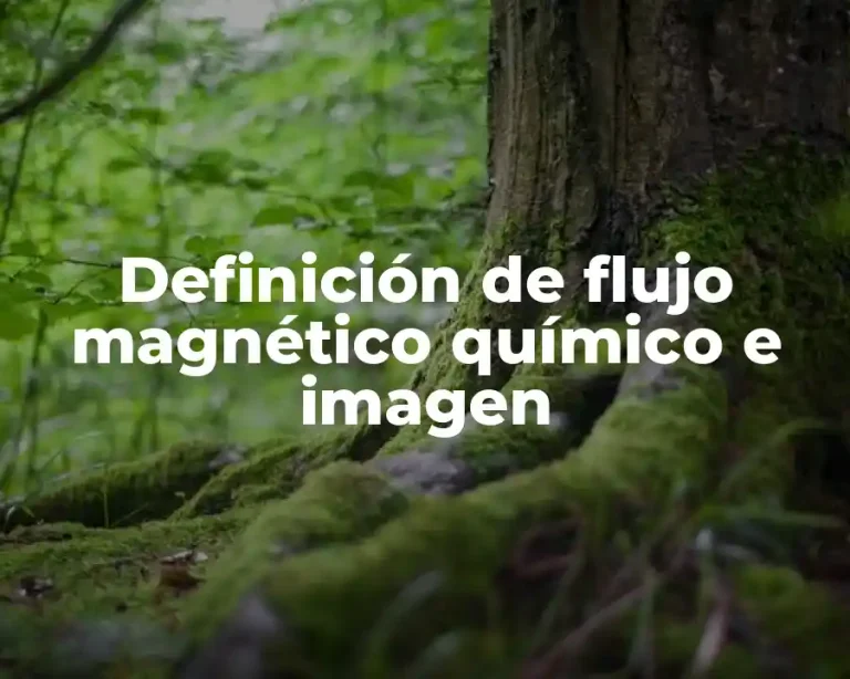 Definición de flujo magnético químico e imagen