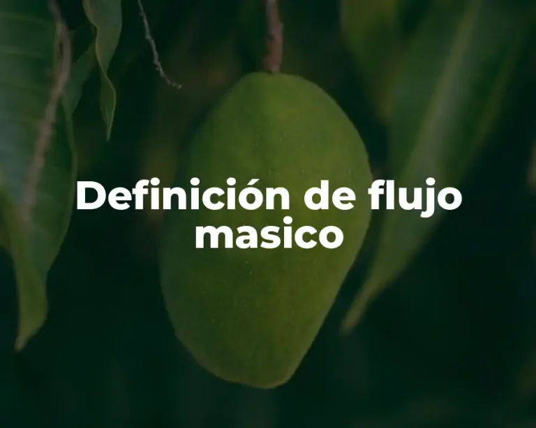 Definición de flujo masico